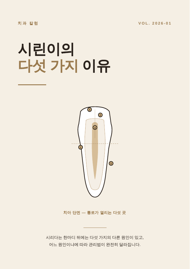 시린이의 다섯 가지 이유 표지
