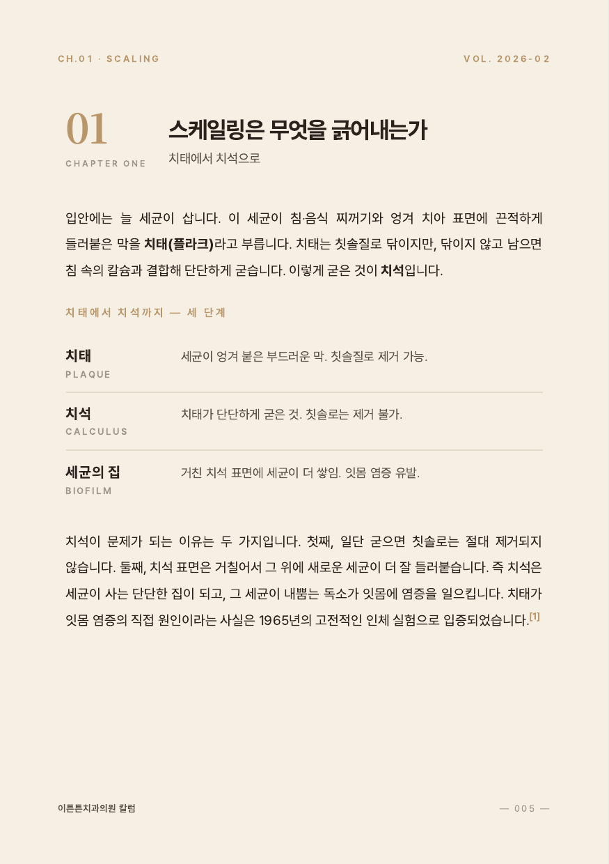 5면 1장 스케일링은 무엇을 긁어내는가
