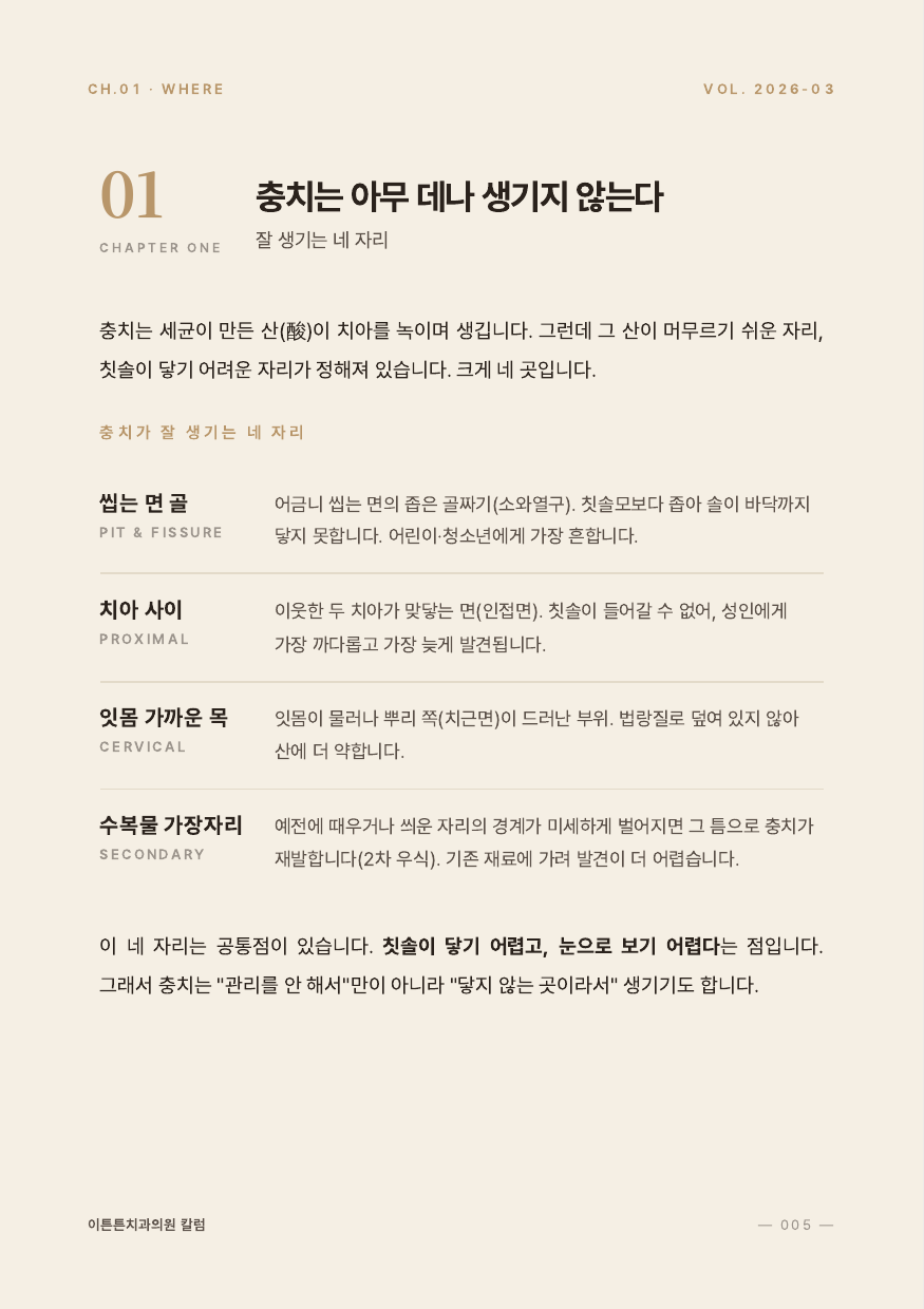 5면 1장 충치는 아무 데나 생기지 않는다