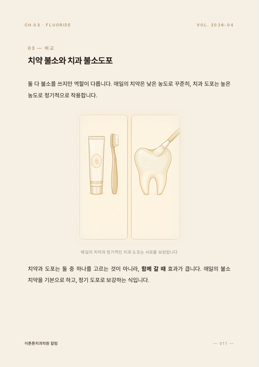 11면 치약 불소와 치과 불소도포 비교 인포그래픽